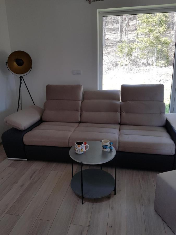 Leniowka Apartment Ponikiew  Ngoại thất bức ảnh